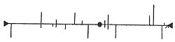 FIG. 137.—Straight-line Diagram, Hatfield Maze.