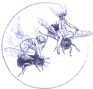 Cover for The Fairy Mythology