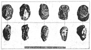 FIG. 19.—Some of the Flint Implements
