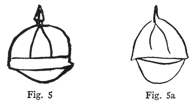 Fig. 5, Fig. 5a