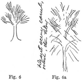 Fig. 6, Fig. 6a