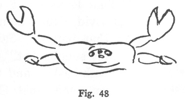 Fig. 48