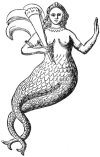 A Mohammedan fish nymph