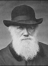 Charles Darwin [ca. 1880] (public domain image)