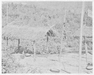 Grave of a tribesman in the I Corps   area