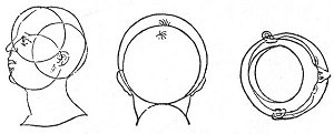 FIGURE 97. <i>The relation of the harmony of the Microcosmos to the Macrocosmos</i>.<br> (From <i>Microcosmi Historia</i>; Robert Fludd, 1621.)