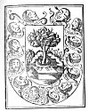 PLATE XX. THE WORLD TREE OF THE MAYAS<br> (From <i>Historia de Yucathan</i>; Diez Lopez Cogolludo, 1640)