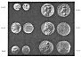 Figs. 26 to 31. Coins of Knossos. (British Museum).