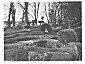 Fig. 122. Maze in Bridge End Gardens, Saffron Walden, looking North. [<i>Photo: W.H.M.</i>]