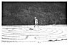 Fig. 141. Sea-Side Sand Maze. [<i>Photo: W.H.M.</i>]