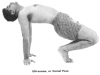 Ultrasana, or Camel Pose