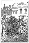As the Shah raised his sword an old man stepped from behind the tree. (<i>Page 166</i>).