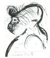 41: Field-sketch of head of male Sasquatch (and photo) by the author, under the direction of Mr. Albert Ostman.