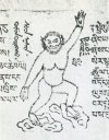 42: Drawing of a Gin-Sung (giant ABSM type of Szechwan) from an 18th-century Mongolian manuscript. (Prof. Emmanuel Vlec)