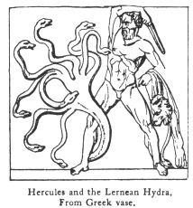 Hercules and the Lernean Hydra. From Greek vase.