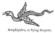 Amphiptère, or flying Serpent.