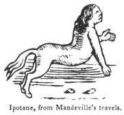 Ipotane, from Mandeville's travels.