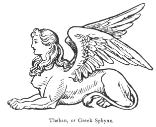Theban, or Greek Sphynx.