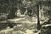 THE MERCED RIVER AT HAPPY ISLES.<BR>
 <I>Photo A. C. Pillsbury</I>