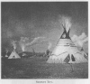 SERPENT TIPI.