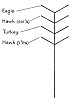 FIGURE 7.--Diagram of prayer stick of Country Chief.