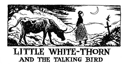 Little White-Thorn and the Talking Bird