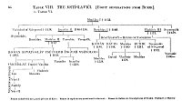 Table VIII. The Mstíslaviči [Eight Generations from Rurik]