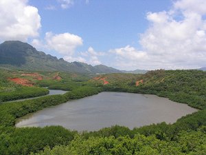 Alekoko Menehune Fishpond. Photographer, Collin Grady. from Wikimedia Commons under a Creative Commons Attribution ShareAlike 2.0 License (https://commons.wikimedia.org/wiki/Image:Alekoko_fishpond.jpg).