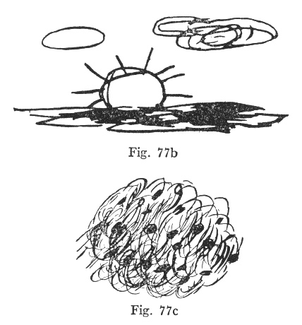 Fig. 77b, Fig. 77c