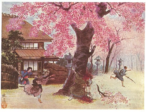 Image result for sakura and samurai