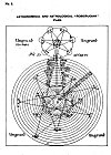 No. 8.<br> ASTRONOMICAL AND ASTROLOGICAL ''ROSICRUCIAN'' PLAN.